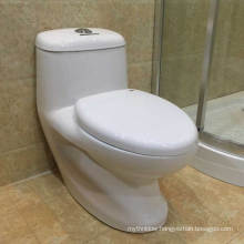 Ovs Ceramic Bathroom Best Design Indian Water Closet